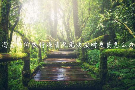 淘寶特價版特殊情況無法按時發(fā)貨怎么辦